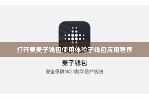 打开麦麦子钱包使用体验子钱包应用程序