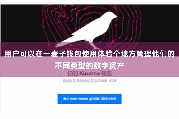 用户可以在一麦子钱包使用体验个地方管理他们的不同类型的数字资产